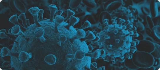 Infectious Disease Rapid Test